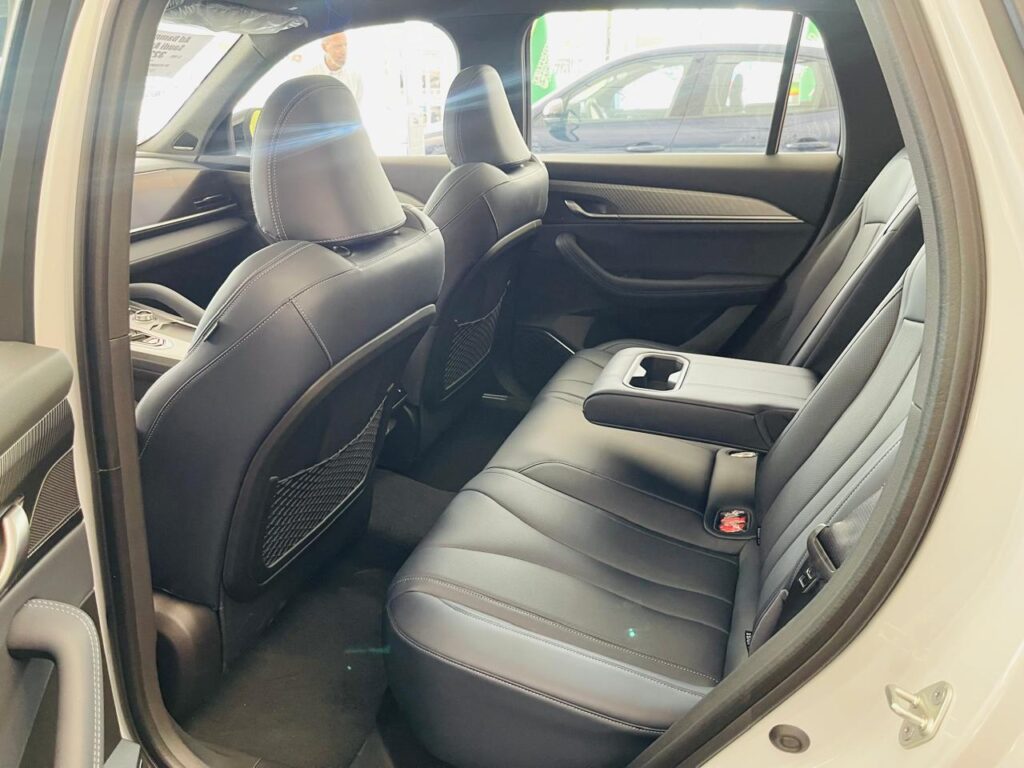 مسند الراس رينو كوليوس