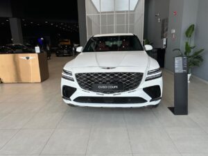شبك جينيسيس gv80 2027